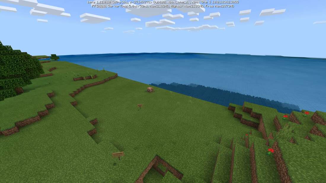 Limitations Of Minecraft Home